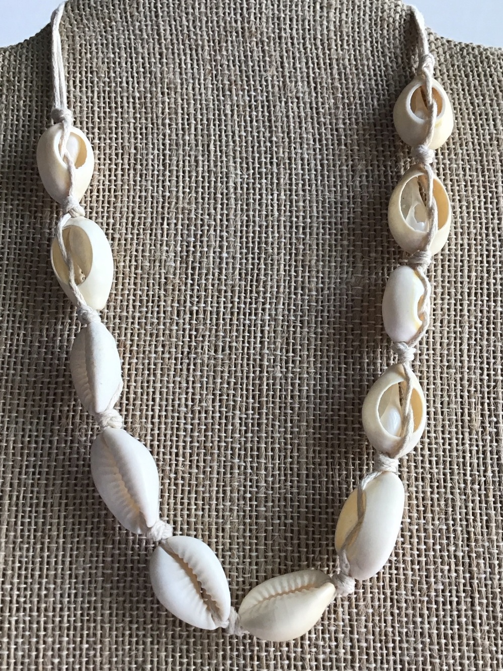 Natural Cowrie Shell Necklace in Ivory